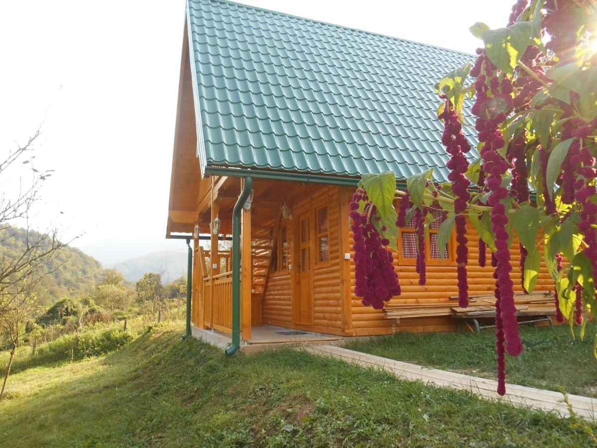 Motel Bavaria Foca Kültér fotó
