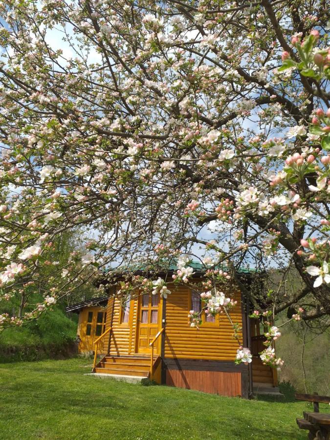 Motel Bavaria Foca Kültér fotó