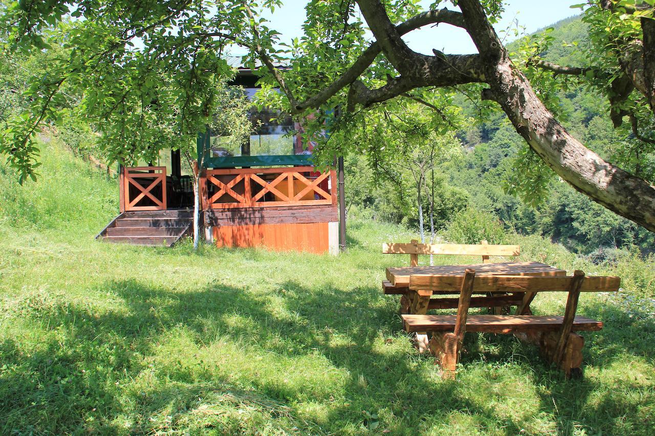 Motel Bavaria Foca Kültér fotó